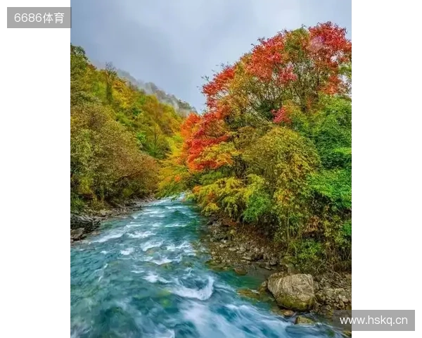 ZywOo、Chovy与f0rsakeN将角逐TGA年度最佳电竞选手称号 ZywOo、Chovy与f0rsakeN将角逐TGA年度最佳电竞选手称号