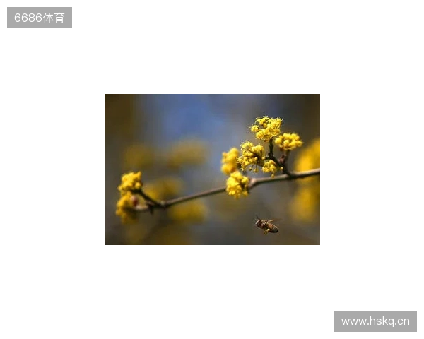 布达佩斯Major第一阶段：战舰轰鸣！FaZe 2-1 RED Canids